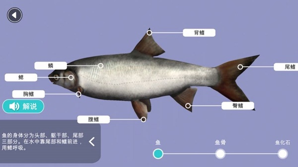 小学科学XR教室截图