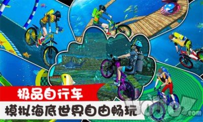 极品自行车