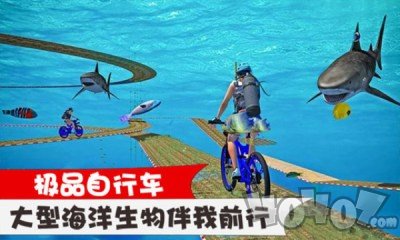 极品自行车