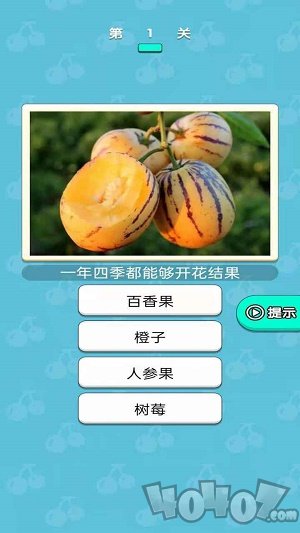 糖果大大卷