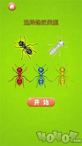蚂蚁大战