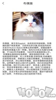 优宠快报
