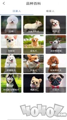优宠快报