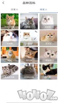优宠快报
