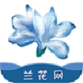 兰花网