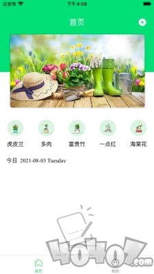 多朵养花日记