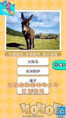 自行车少年