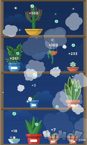 我的植物园