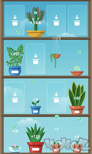 我的植物园