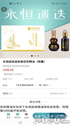 永恒迷迭