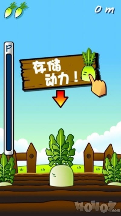 大根萝卜火箭