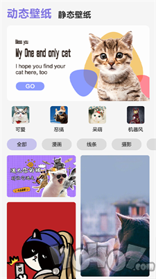 可爱喵喵壁纸大全