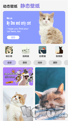 可爱喵喵壁纸大全