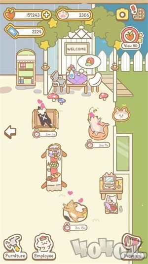 猫咪温泉
