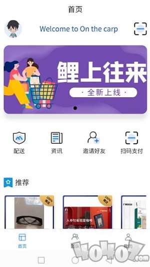 鲤上往来