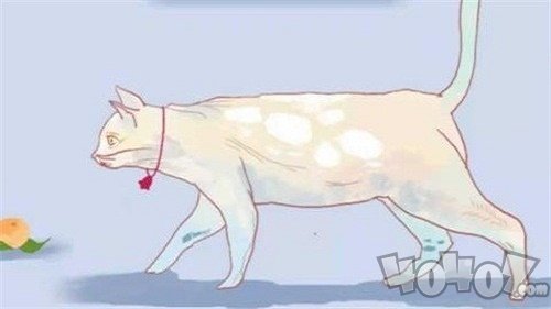 逃跑的猫