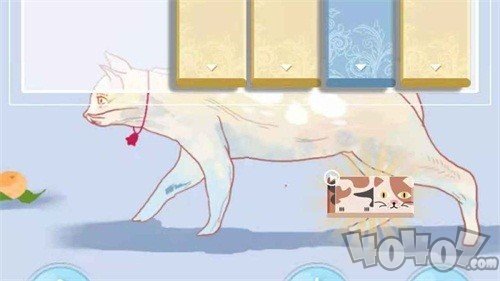 逃跑的猫