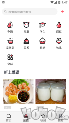 厨翼