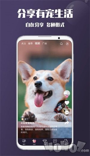 憨憨