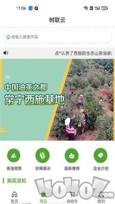 树联云网