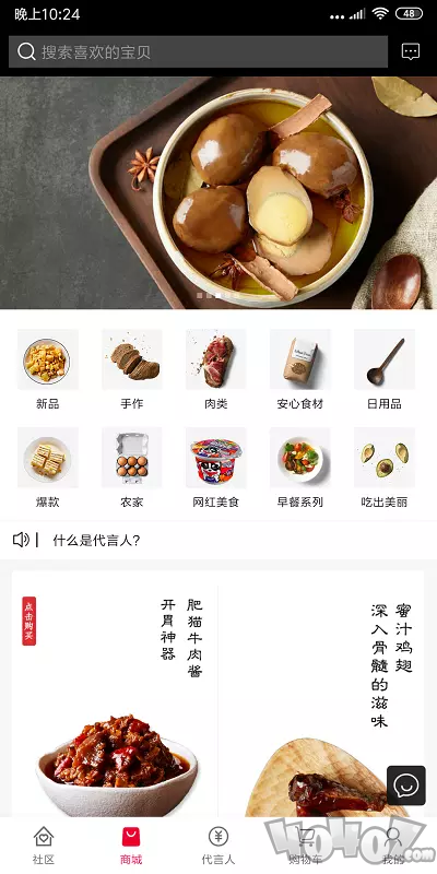 肥猫圈子