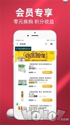 金麦全球