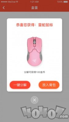 乐多盲盒
