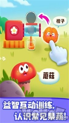 JOJO认知启蒙