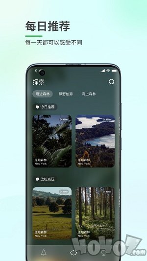 森林白噪音