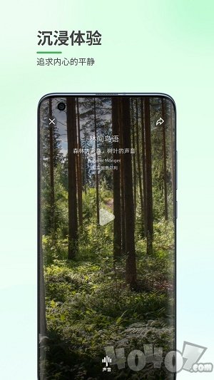 森林白噪音