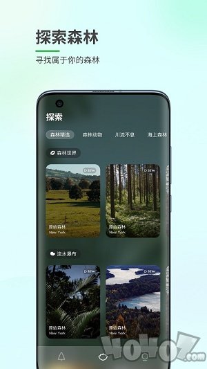 森林白噪音