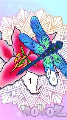 梦幻数字填色