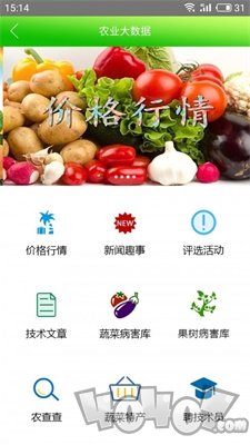 田园采风
