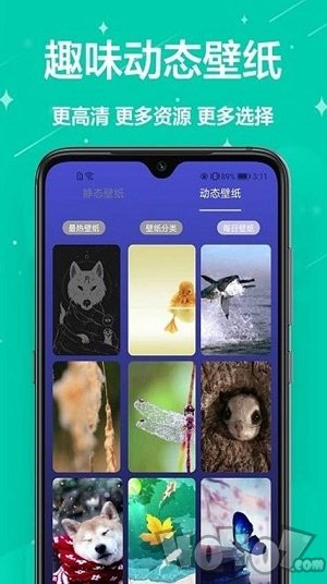 主題君