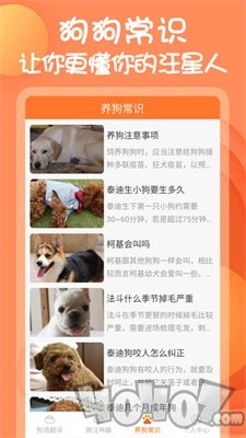 狗与翻译器