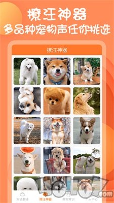狗与翻译器