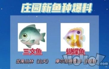 摩爾莊園三文魚在哪釣 三文魚位置及刷新時(shí)間詳解