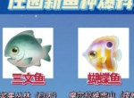 摩尔庄园三文鱼在哪钓 三文鱼位置及刷新时间详解