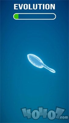 生物进化