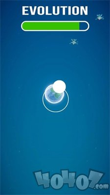 生物进化