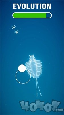 生物进化