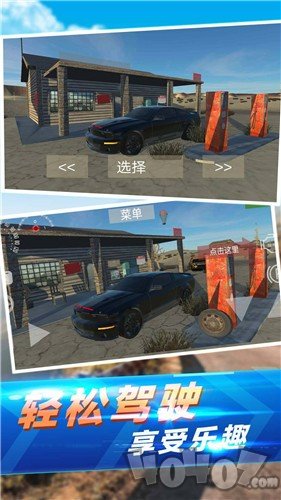 真实汽车碰撞