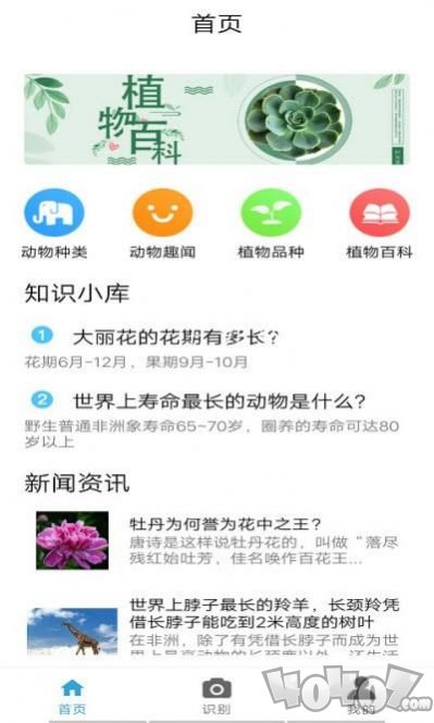 自然生活