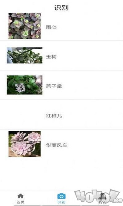 自然生活