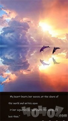 飞鸟消除