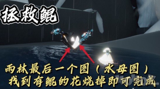 光遇9.24每日任务怎么完成 9.24每日任务攻略分享