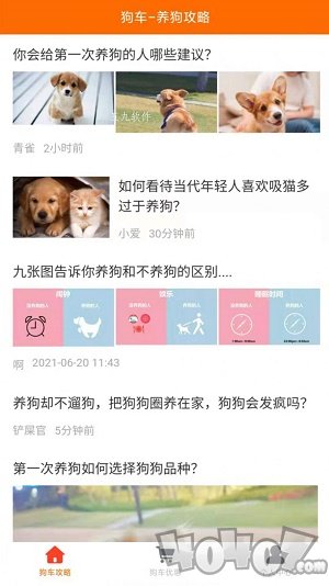 狗车
