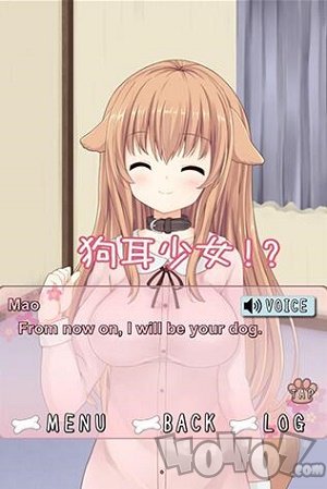 犬耳少女
