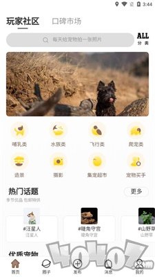 集宠区