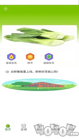 云鲜批